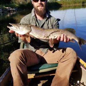 Meet your Posher, Andrew